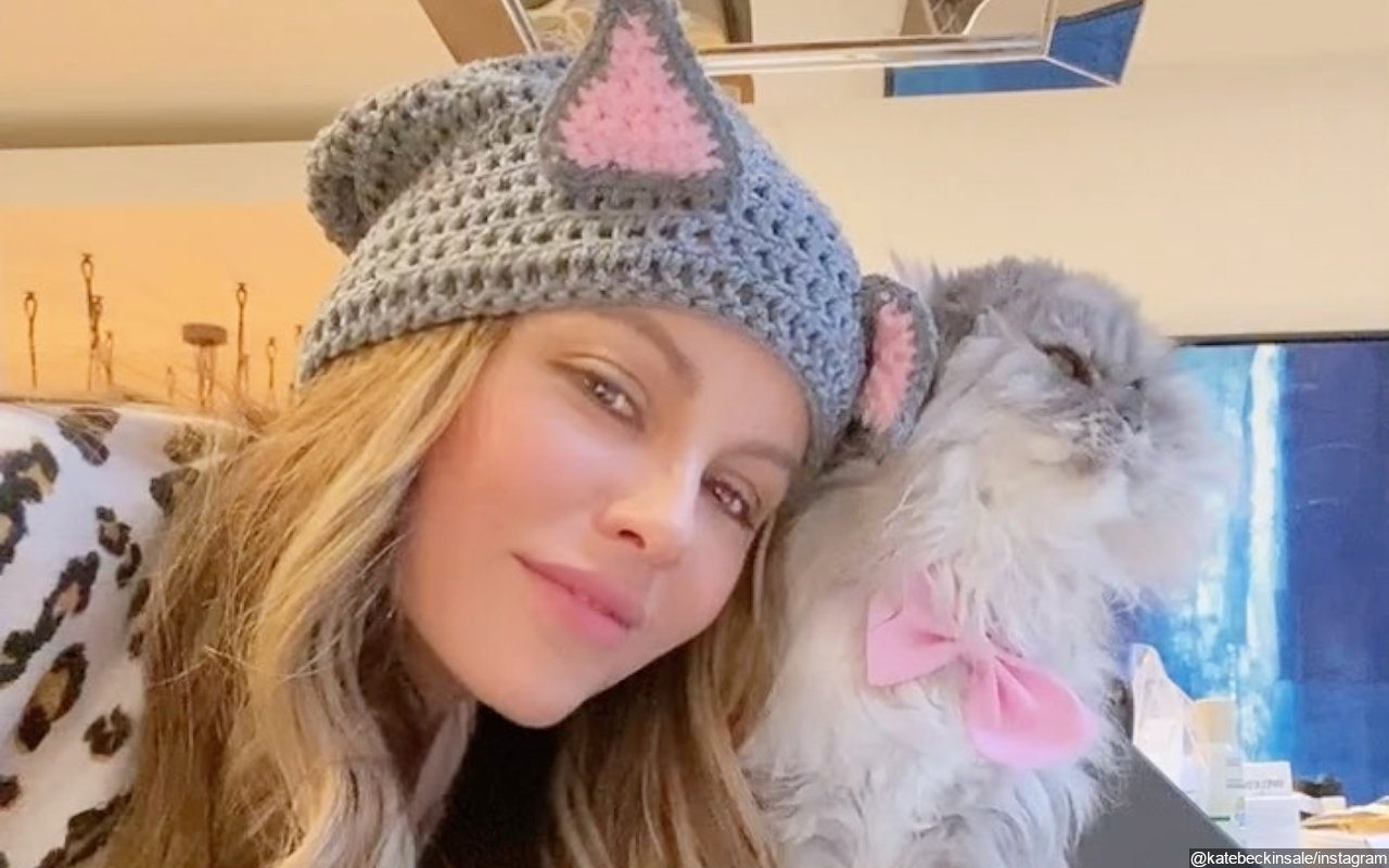 Kate Beckinsale's Pet Cat Underwent Nine Months of Chemo to Beat Cancer