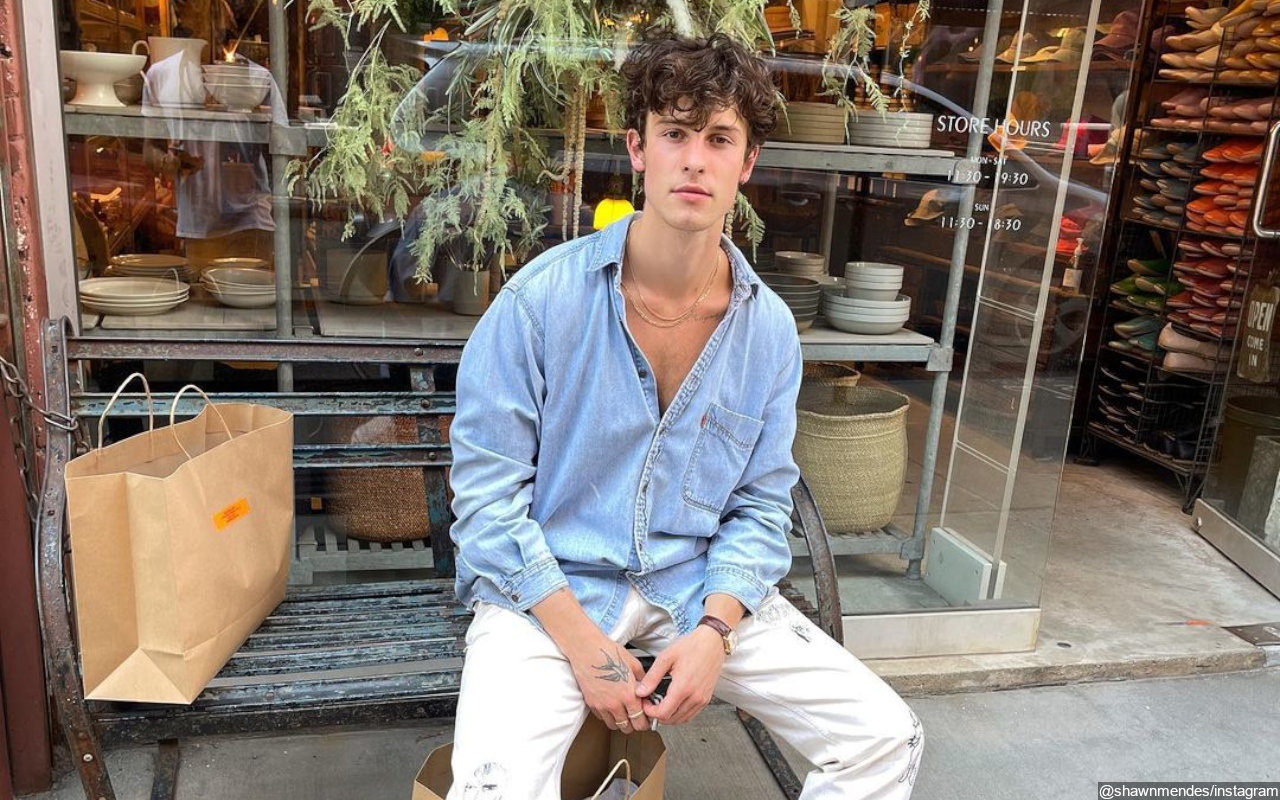 Shawn Mendes Gets Candid Why He Wants to Remain 'A Little F**ked Up'