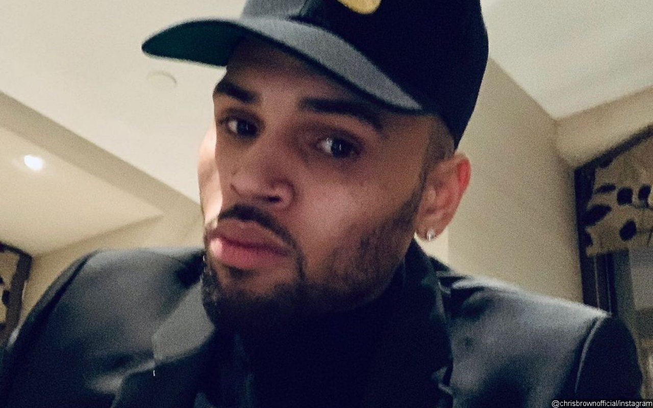 Chris Brown Gets Sued by Former Housekeeper Over Alleged Dog Attack
