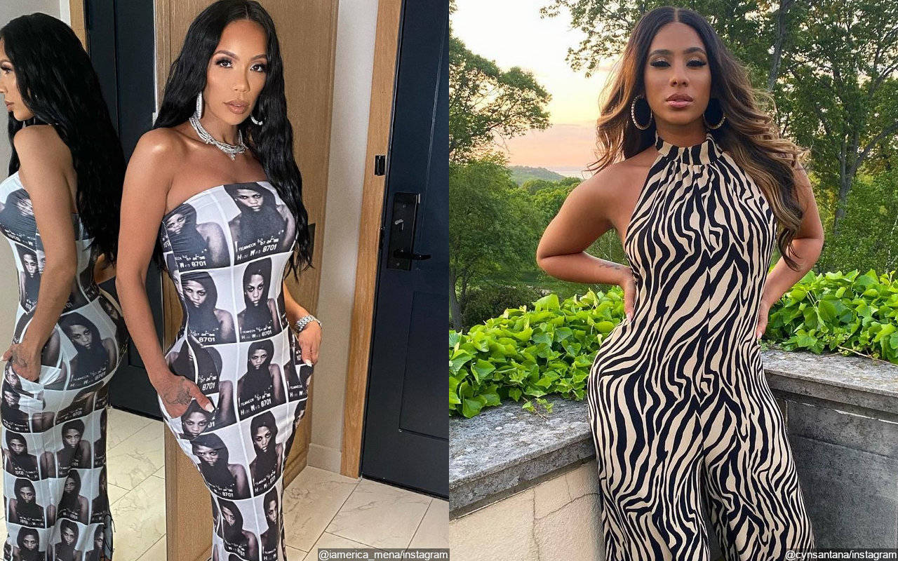 Erica Mena Dragged After Being Caught Having Cyn Santana Hate Account