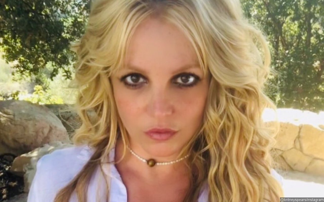 Britney Spears Receives Support From American Civil Liberties Union Amid Abuse Allegations
