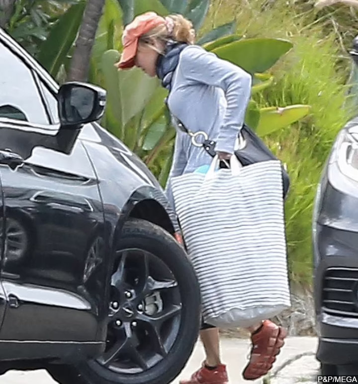Renee Zellweger Moving In With Ant Anstead