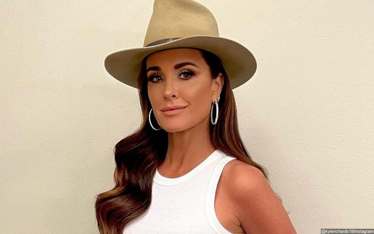 Kyle Richards 'Looking Like a Hot Mess' After Being Hospitalized for Bee Stings  