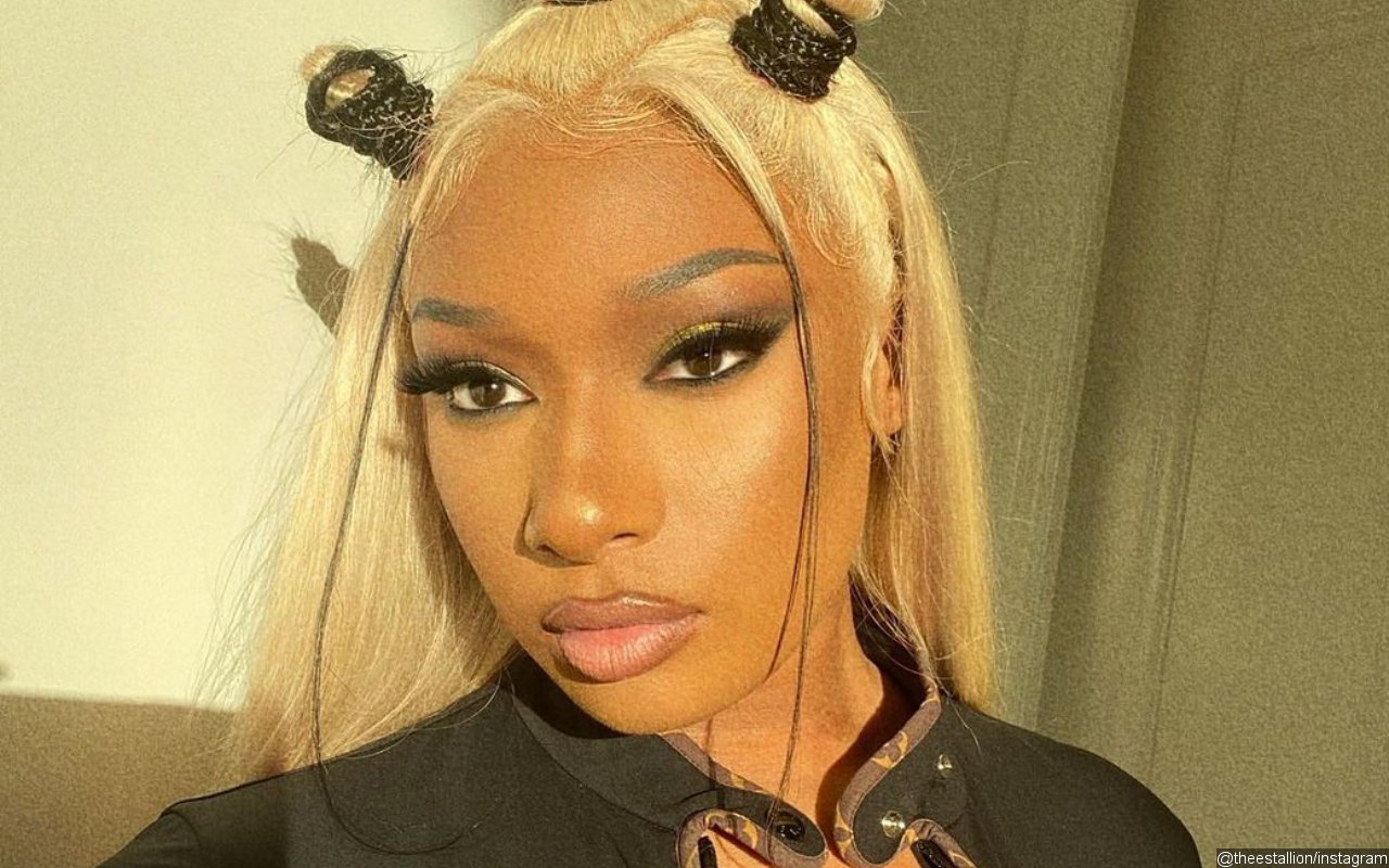 Megan Thee Stallion Fuming at Black-Run Blogs for Negative Publicity About Her
