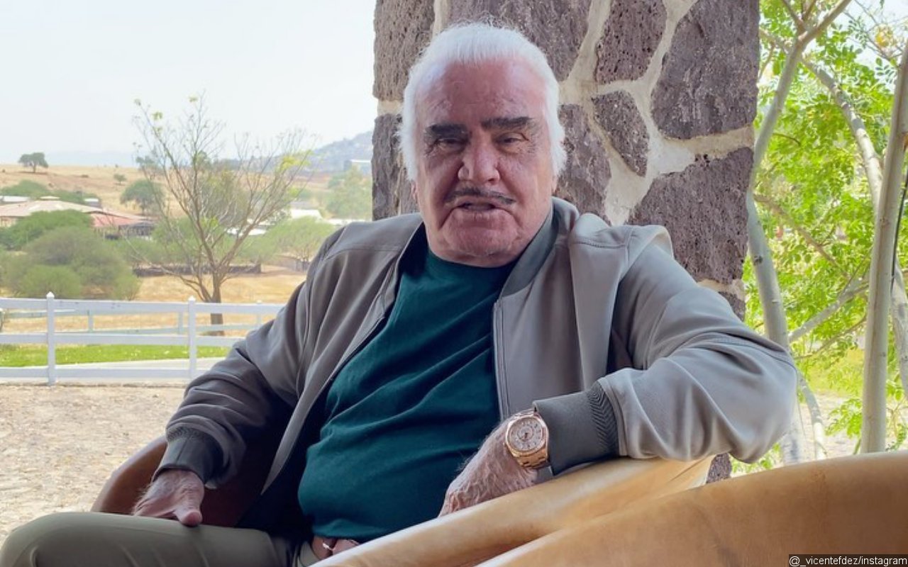 Vicente Fernandez in 'Serious but Stable' Condition as He's on Ventilator After Fall