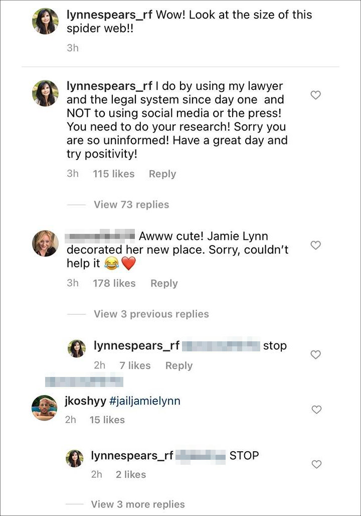 Comments on Lynne Spears' Post