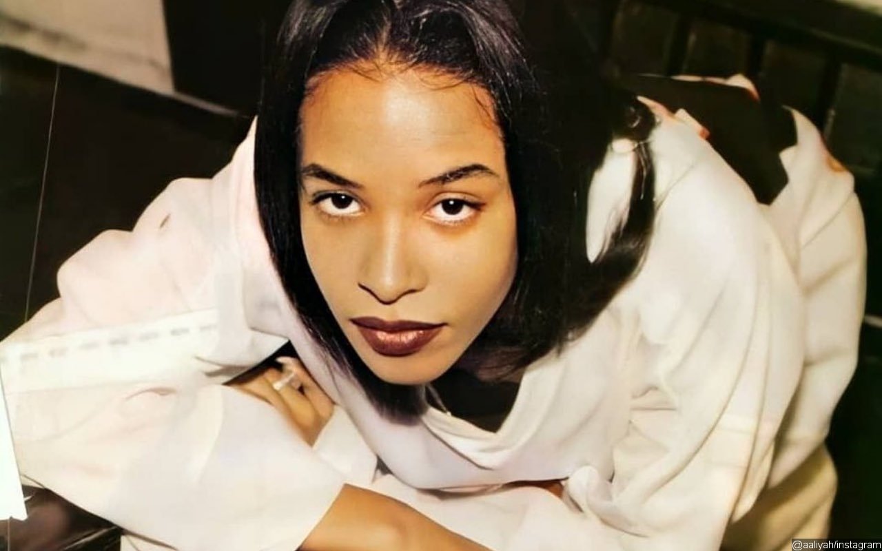 Aaliyah's Biography Author Shuts Down 'Absurd' Claims Saying She Promotes It at Singer's Gravesite