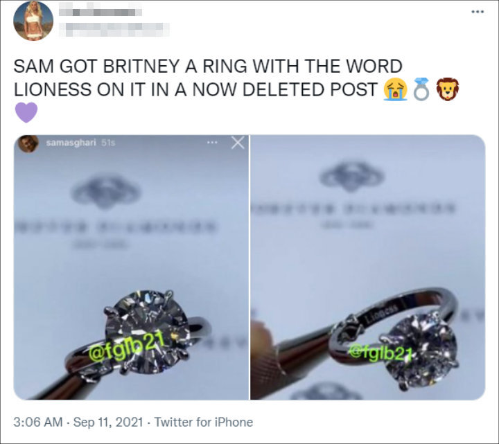Ring Photo on Sam Asghari's Instagram Story