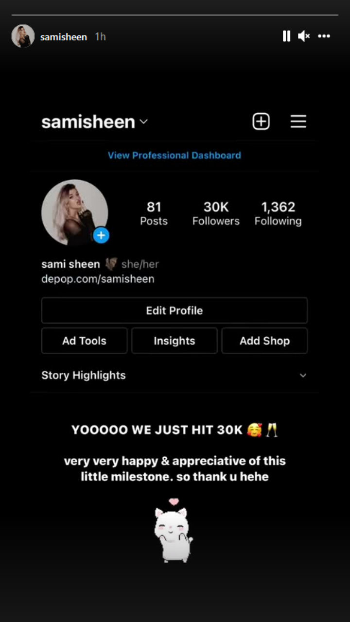 Sami Sheen's Instagram Story