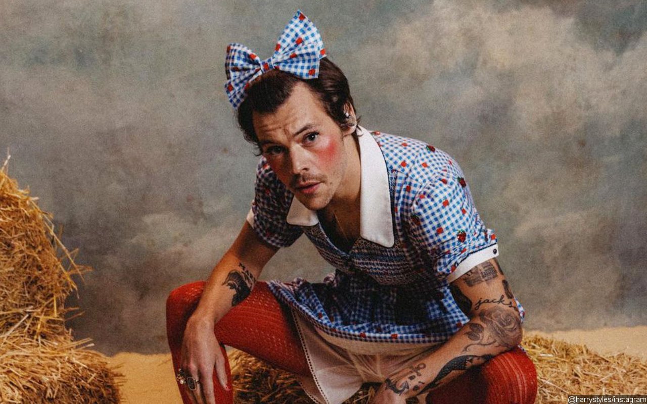 Harry Styles Dresses Up as Dorothy at 'Harryween' Concert 