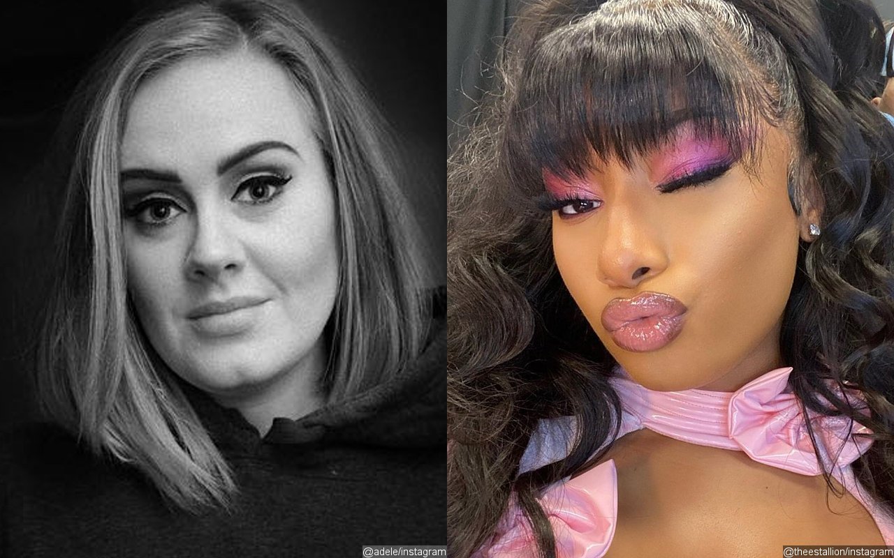 Adele and Megan Thee Stallion Urged to Make Collab After Mashup Meme Goes Viral