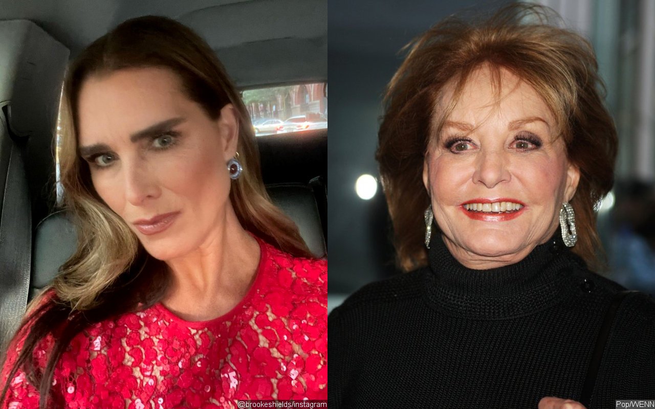 Brooke Shields Slams 'Maddening' Interview With Barbara Walters About Her Calvin Klein Campaign