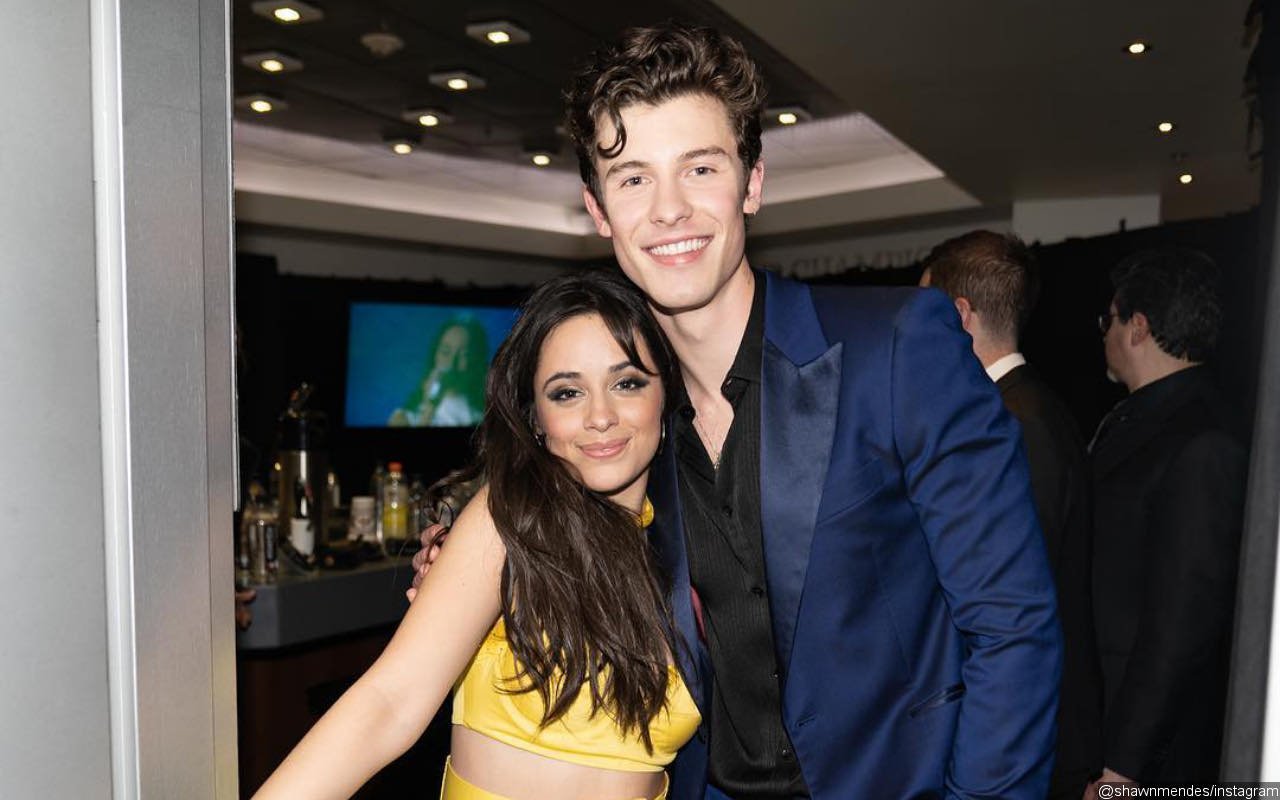 Shawn Mendes Admits to Having a 'Hard Time with Social Media' Following Camila Cabello Split
