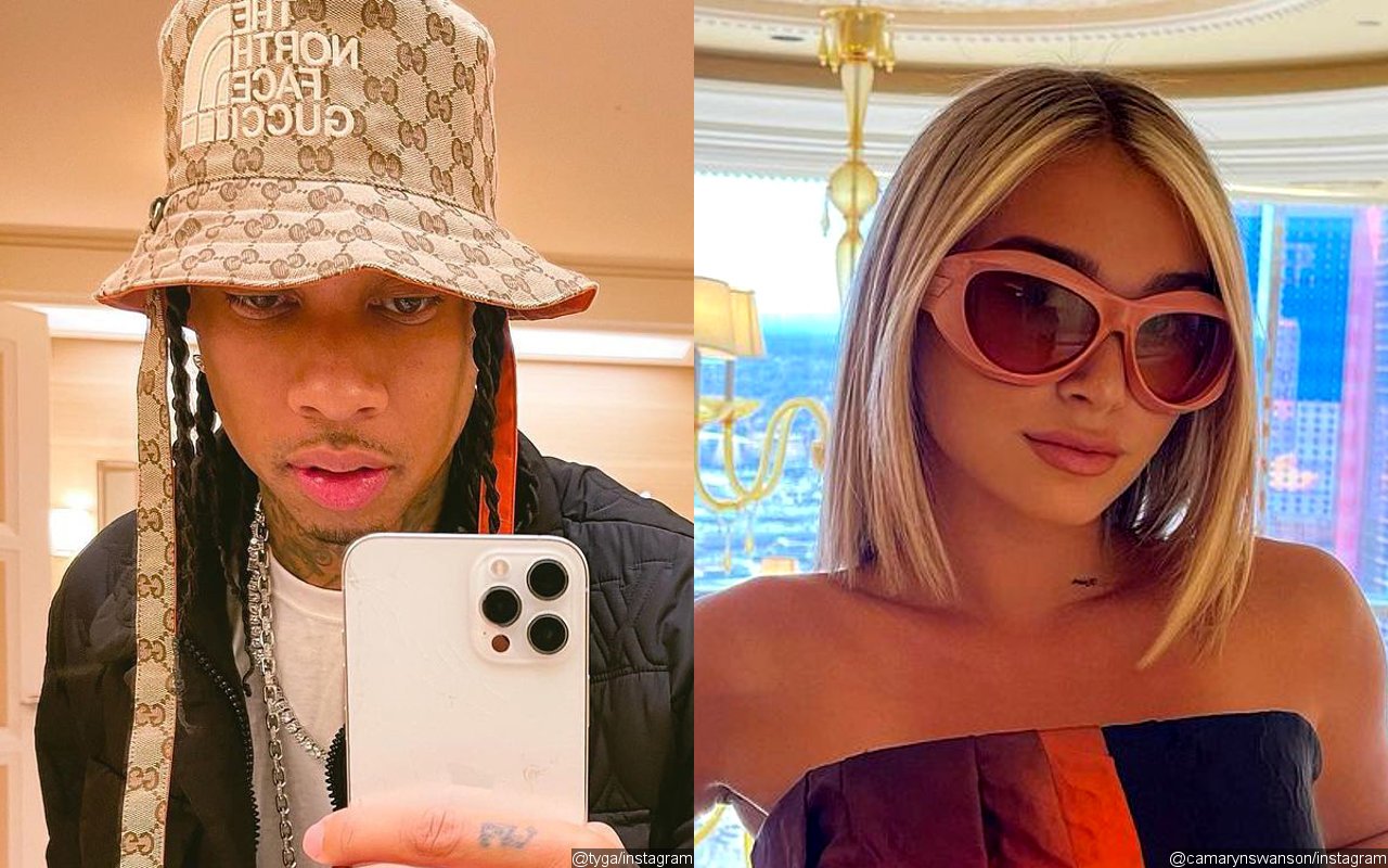 Tyga Caught Liking Camaryn Swanson's Latest Post Months After Alleged Domestic Violence 