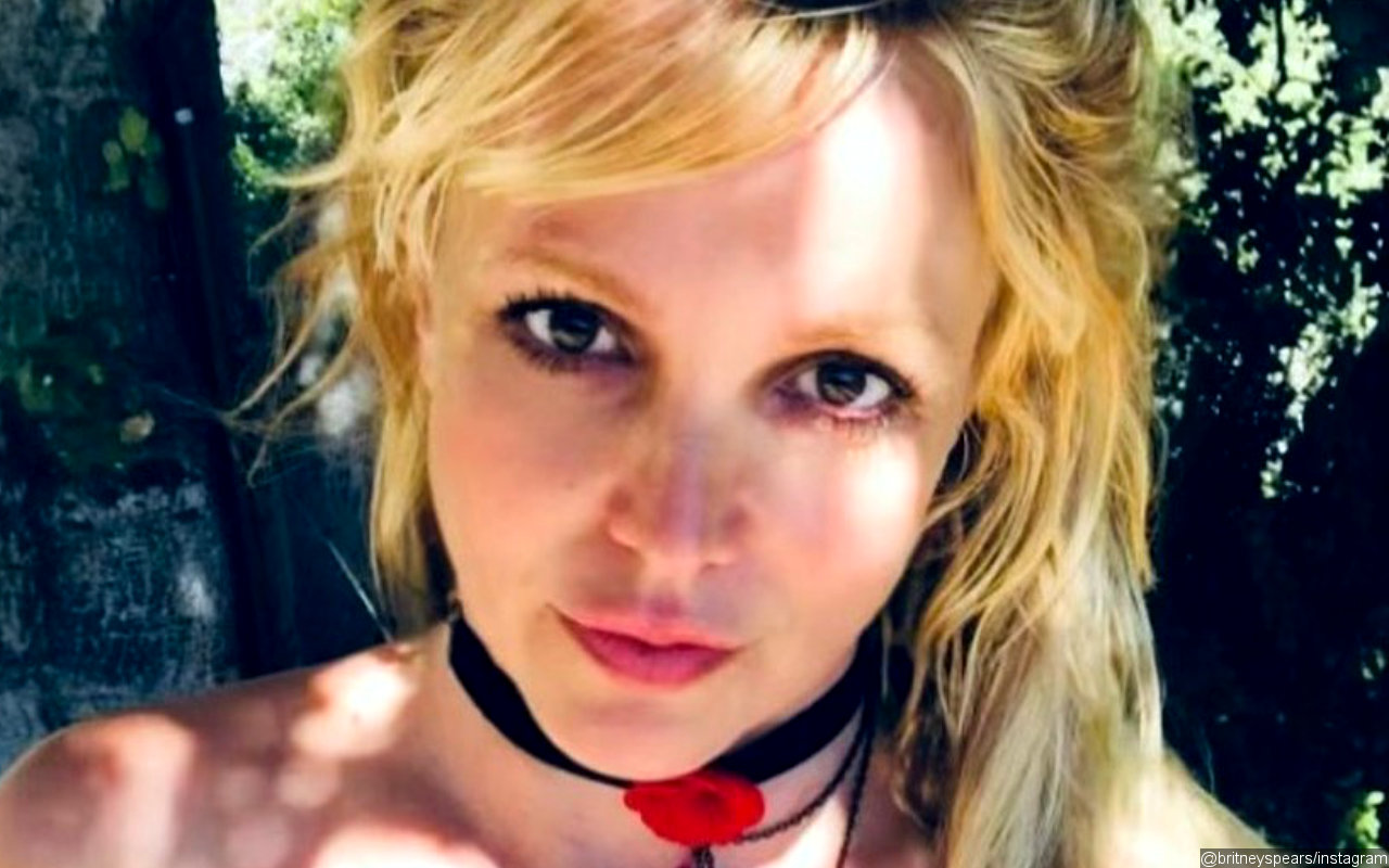 Britney Spears Sparks Pregnancy Rumors After Revealing She Has 'Horrible' Nausea During Vacation
