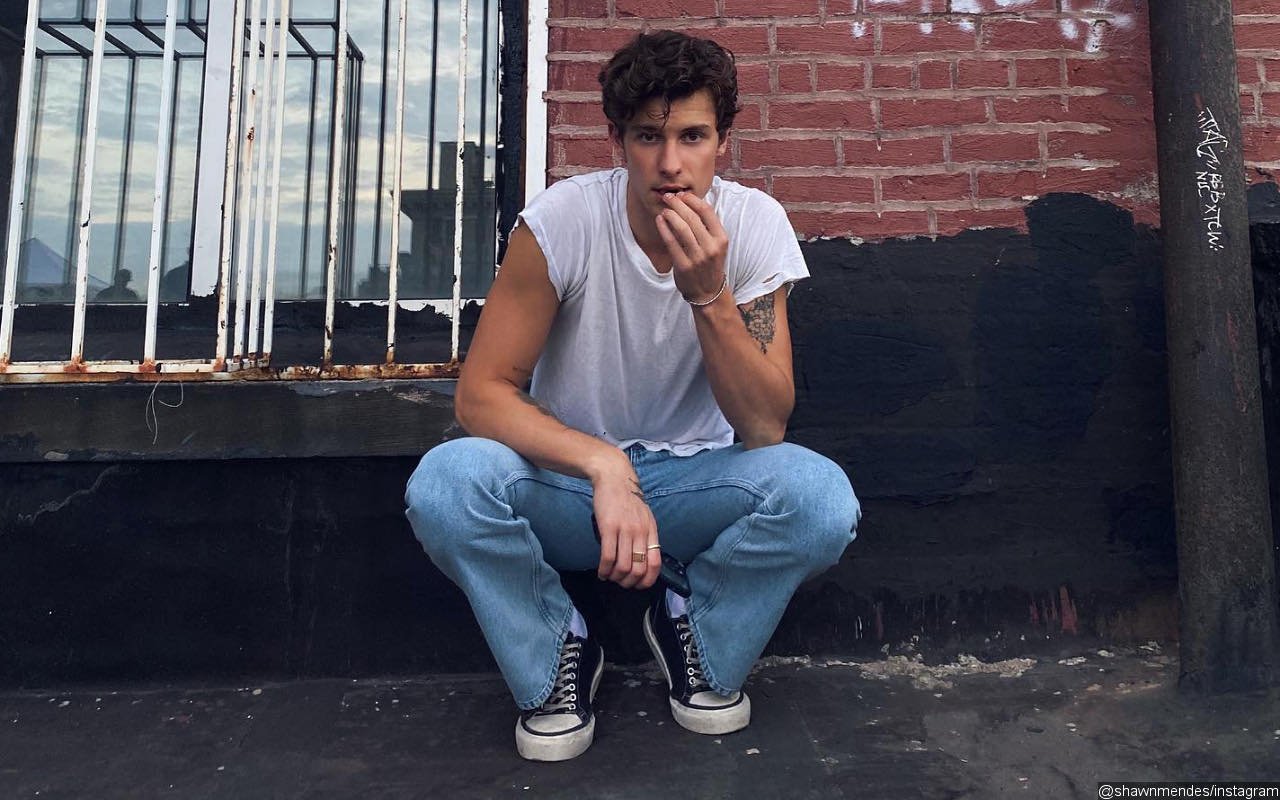 Shawn Mendes Pokes Fun at Himself After Falling Down a Hill While Trying to Take Thirst Trap