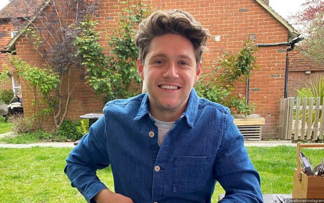 Fans Send Well Wishes to Niall Horan After He Fell 'Extremely Ill' During a Flight