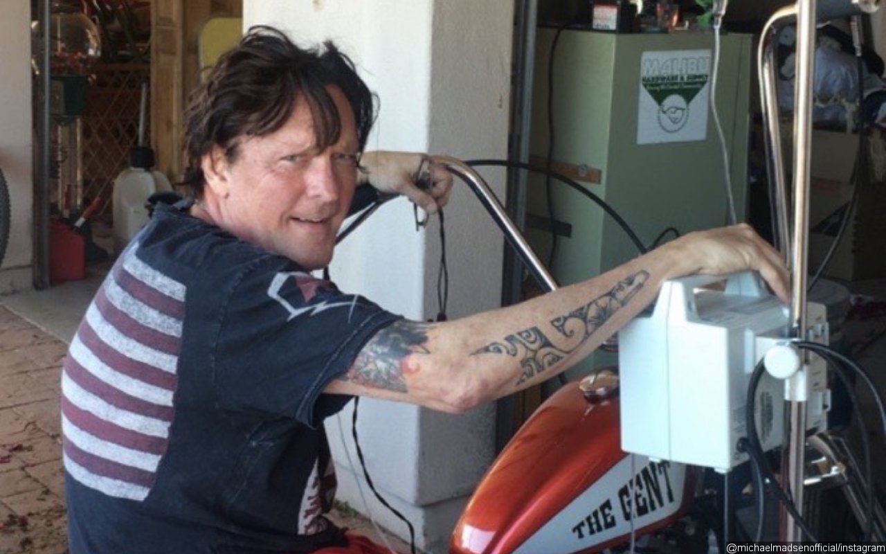 Michael Madsen Arrested for Trespassing Weeks After Son's Death of Apparent Suicide