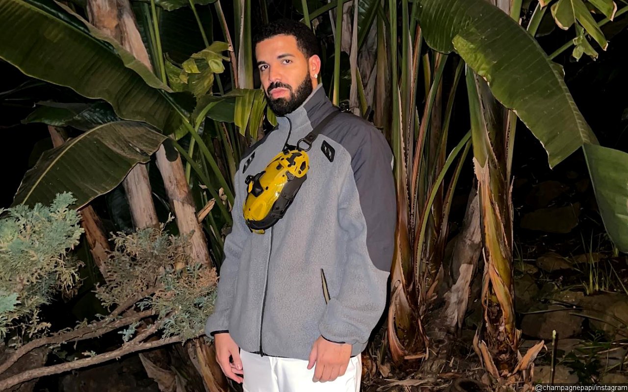 Drake Files for Restraining Order Against Female Trespasser