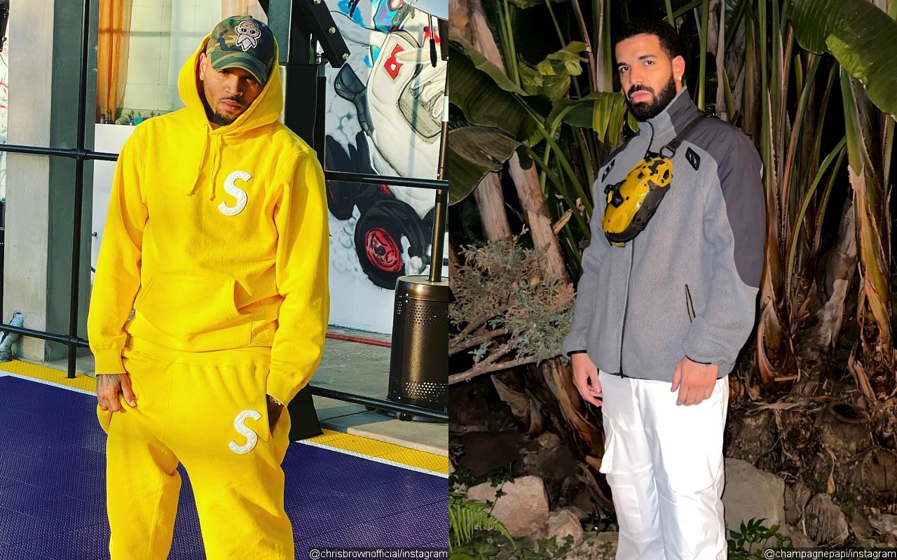 Chris Brown and Drake Slam 'Egotistical' Claim in 'No Guidance' Copyright Infringement Lawsuit