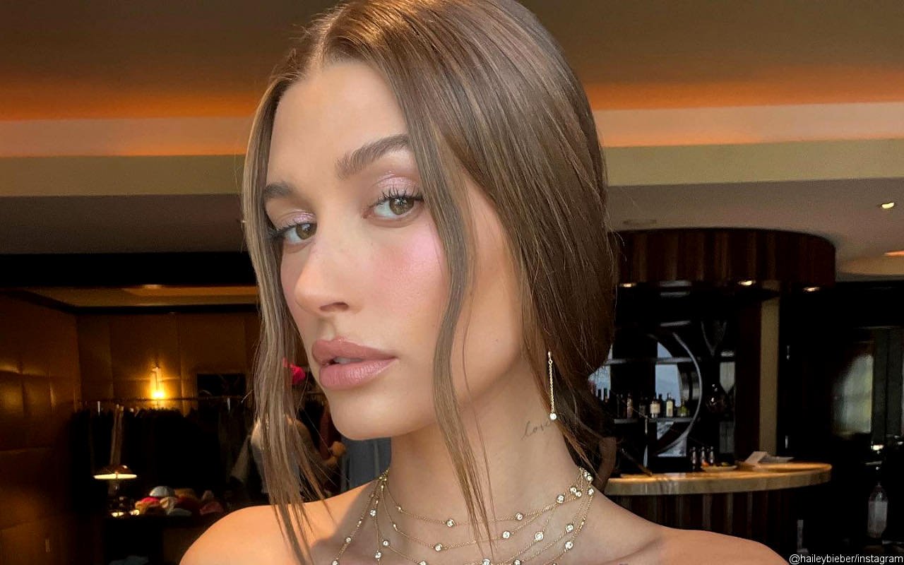 Hailey Baldwin Debunks Pregnancy Rumors After Sparking Speculations With Her Grammys Dress