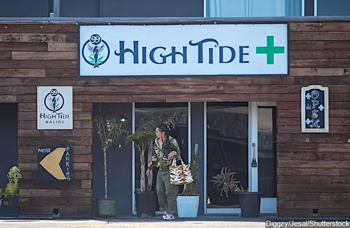 Thandiwe Newton Visiting a Cannabis Store in Malibu