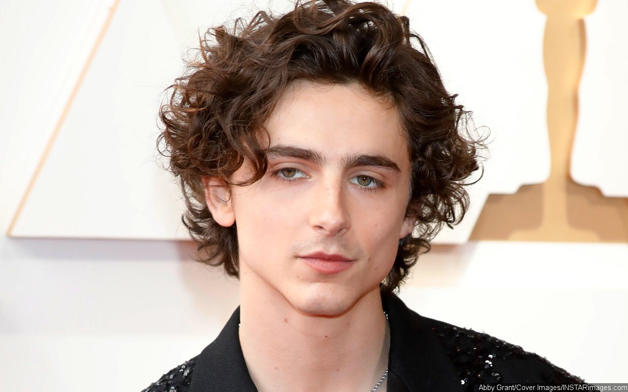 Timothee Chalamet's West End Stage Debut Canceled After Two Years of Delay
