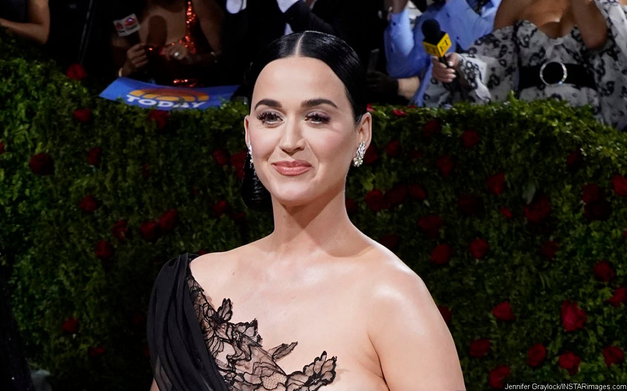 Katy Perry Gushes About Making the 'Best Decision' by Having a Child