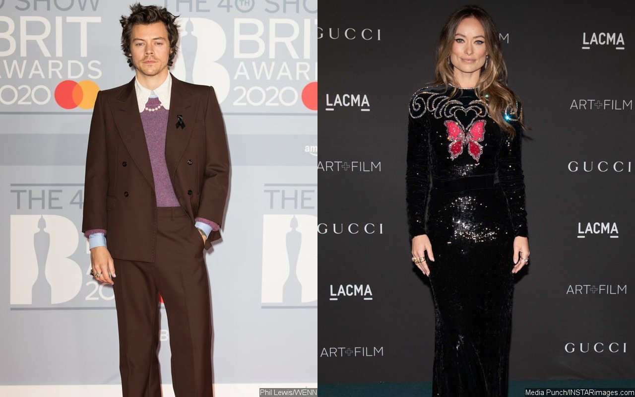 Harry Styles Gushes Over 'Wonderful Experience' Working With GF Olivia Wilde