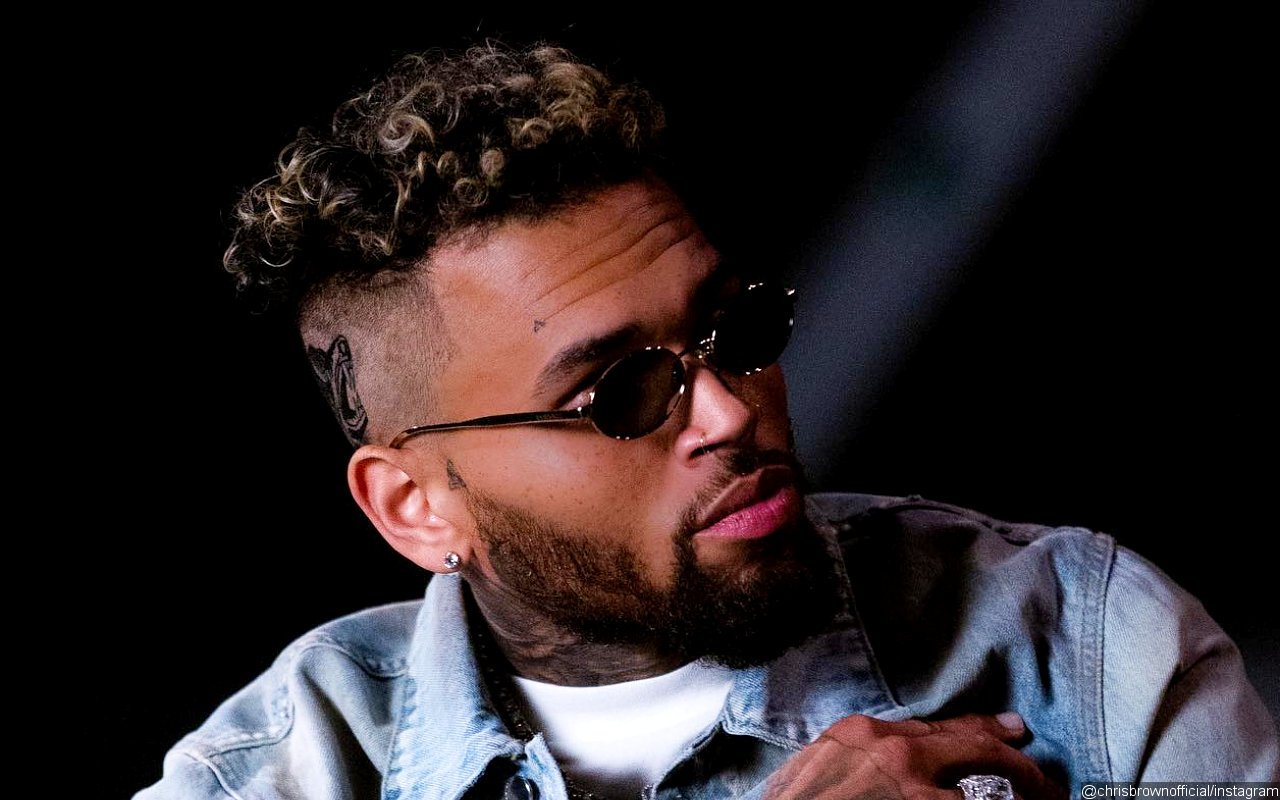 Chris Brown Fires Back at Fan Who Claims He Kicked Her Out for Refusing to Hook Up With Him