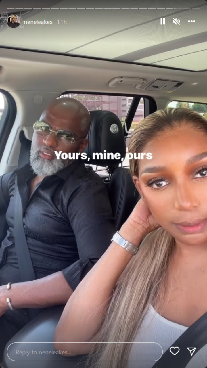 NeNe Leakes' IG Story