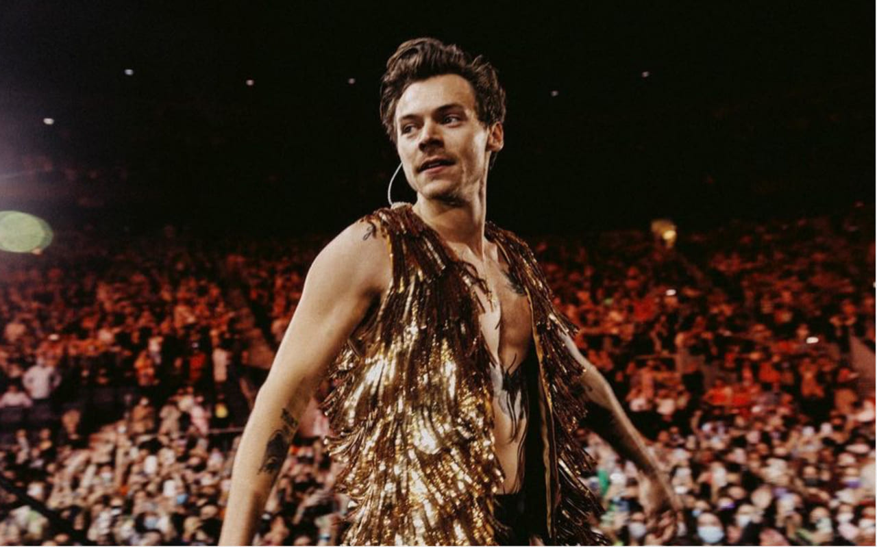 Harry Styles Assist Gay Fan to Come Out at Concert