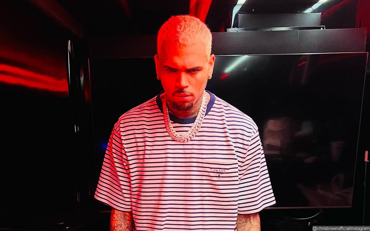 Chris Brown Calls Out 'Lame' Artists While Gushing Over His 'Cool' Fans 