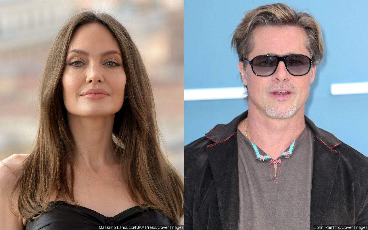 Angelina Jolie Accuses Brad Pitt of Seizing Control of Winery as Retaliation for Divorce