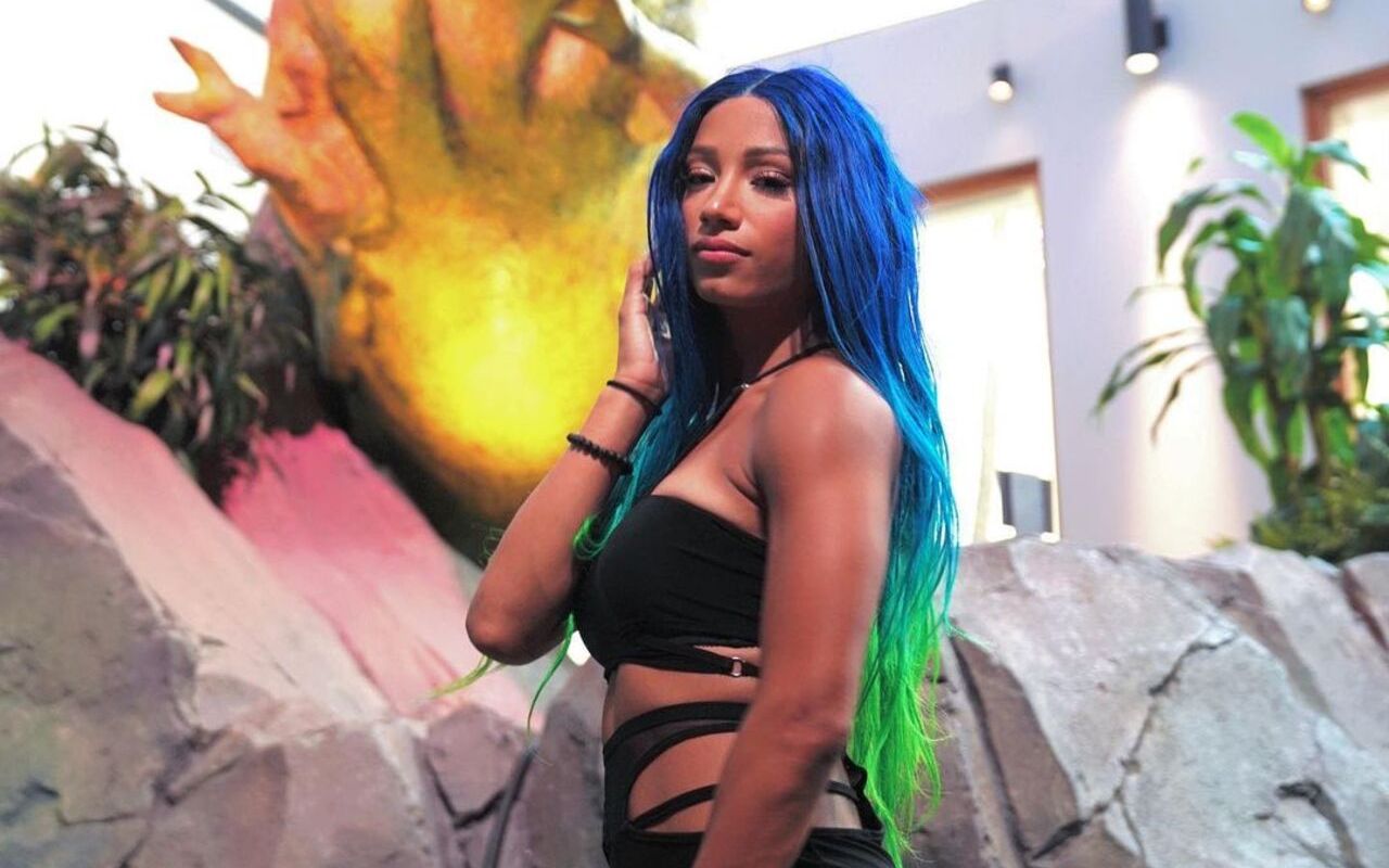 Sasha Banks Says 'I'm Back to Being the New Girl' After 'Chaotic' Modeling Debut at NYFW