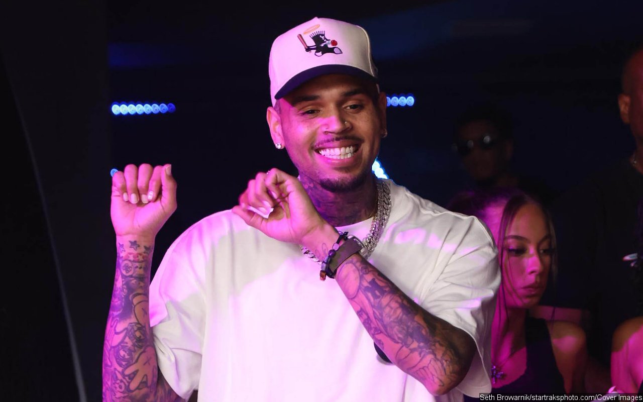 Chris Brown Blames Stalker for Causing Gnarly Car Accident at His Property