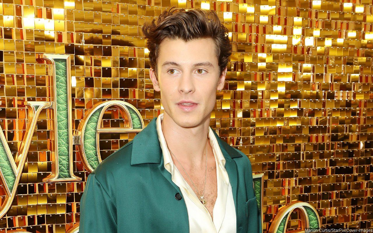 Shawn Mendes Admits to Feeling More Relaxed After Canceling World Tour Due to Mental Health Issues