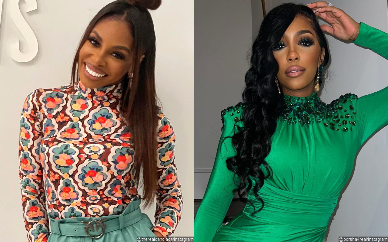 Candiace Dillard and Porsha Williams Reportedly Get Into Intense Fight in 'RHUGT' Season 3 