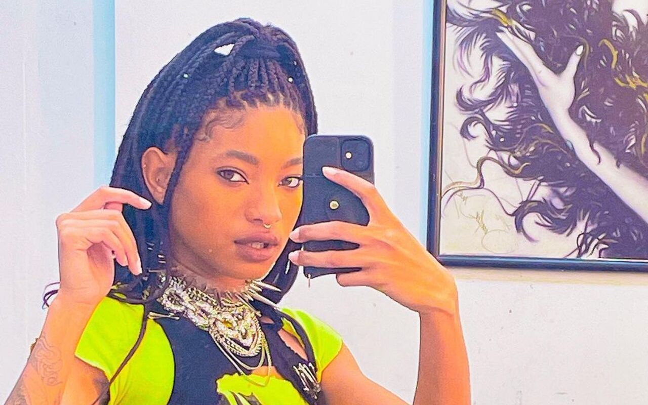 Willow Smith Always Challenges Herself to Evolve as Musician