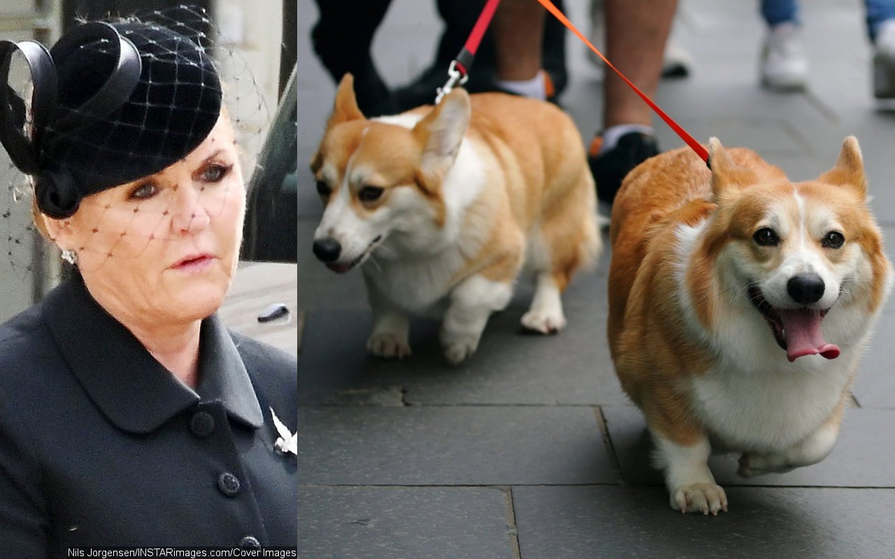 Sarah Ferguson Calls It 'a Big Honor' to Take Care of Queen Elizabeth's Dogs