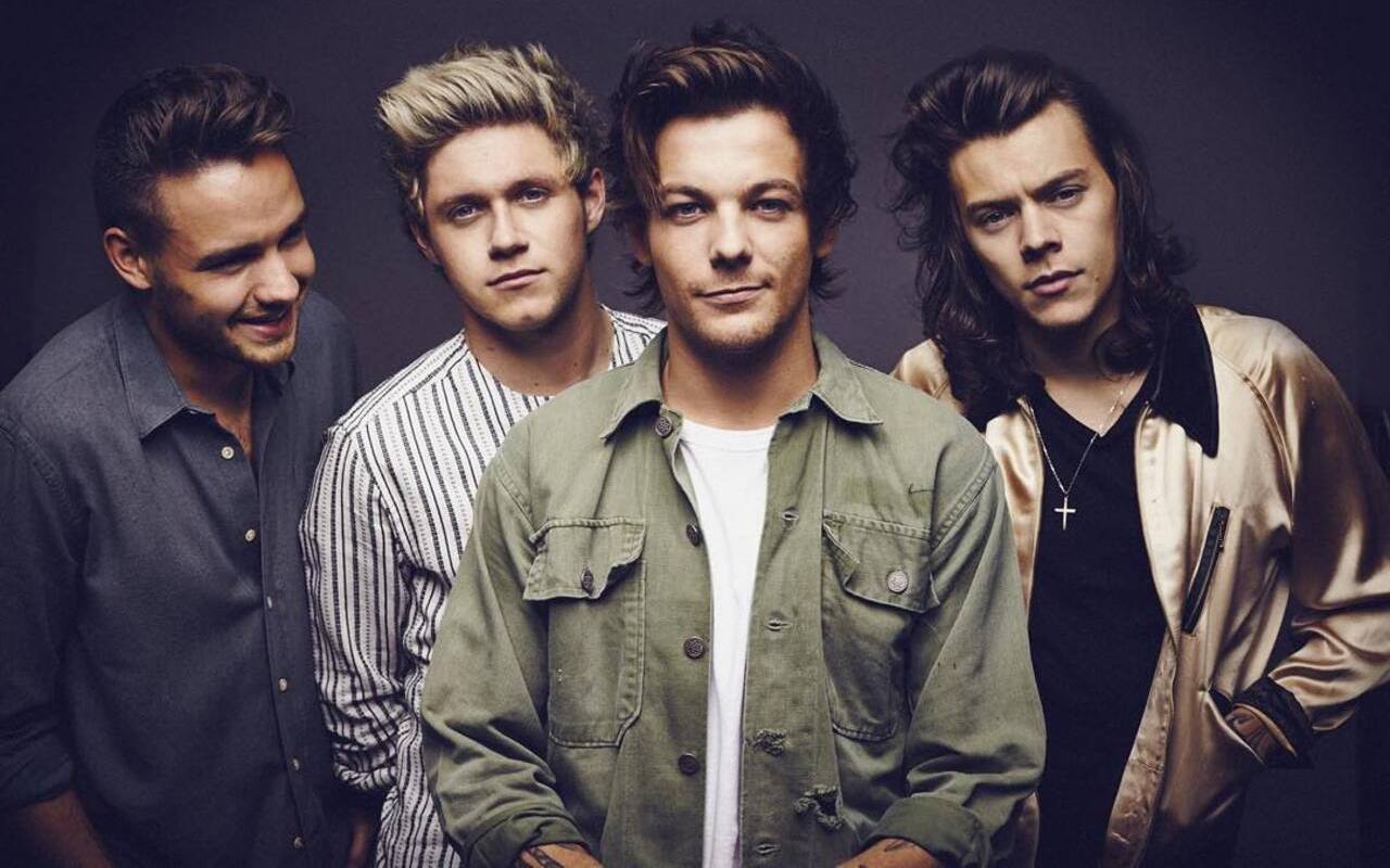 Louis Tomlinson Frustrated by One Direction's Indefinite Hiatus
