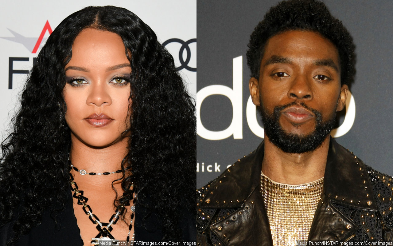 Rihanna's 'Black Panther: Wakanda Forever' Song Pays Tribute to Chadwick Boseman - Hear the Snippet