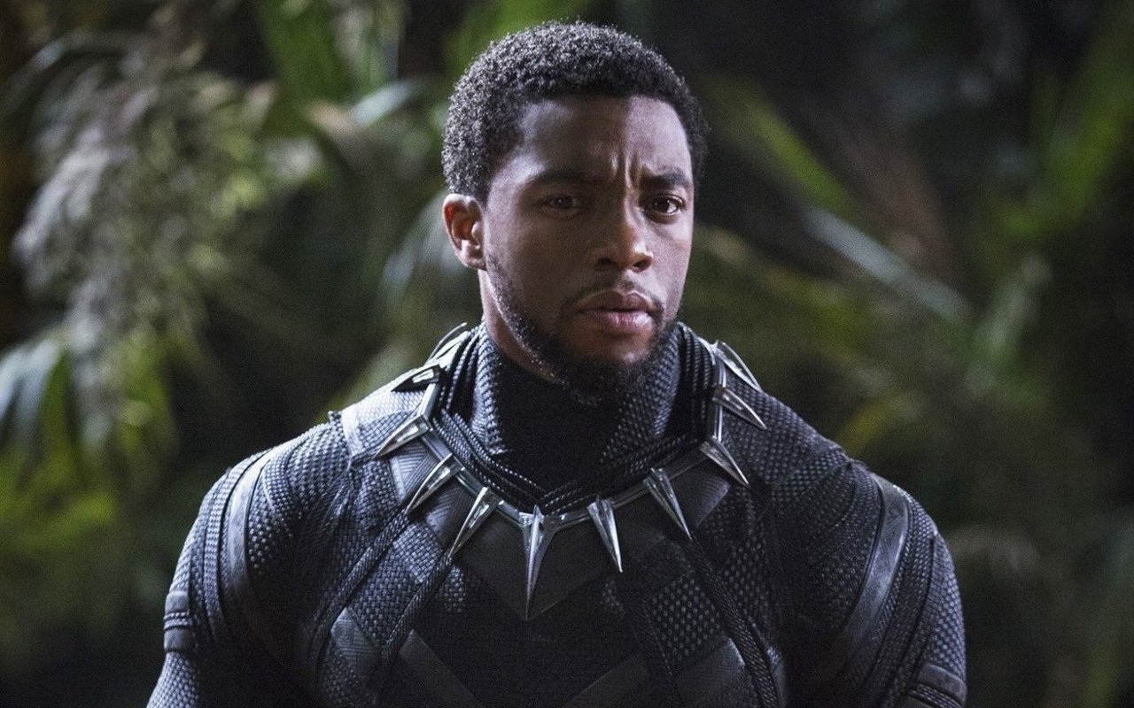 Chadwick Boseman's Life and Death 'Informed' 'Black Panther: Wakanda Forever' Plot