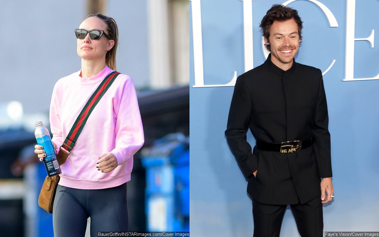 Olivia Wilde Posts Rare Pics at Disneyland With Kids Amid Claims She's Upset Over Harry Styles Split