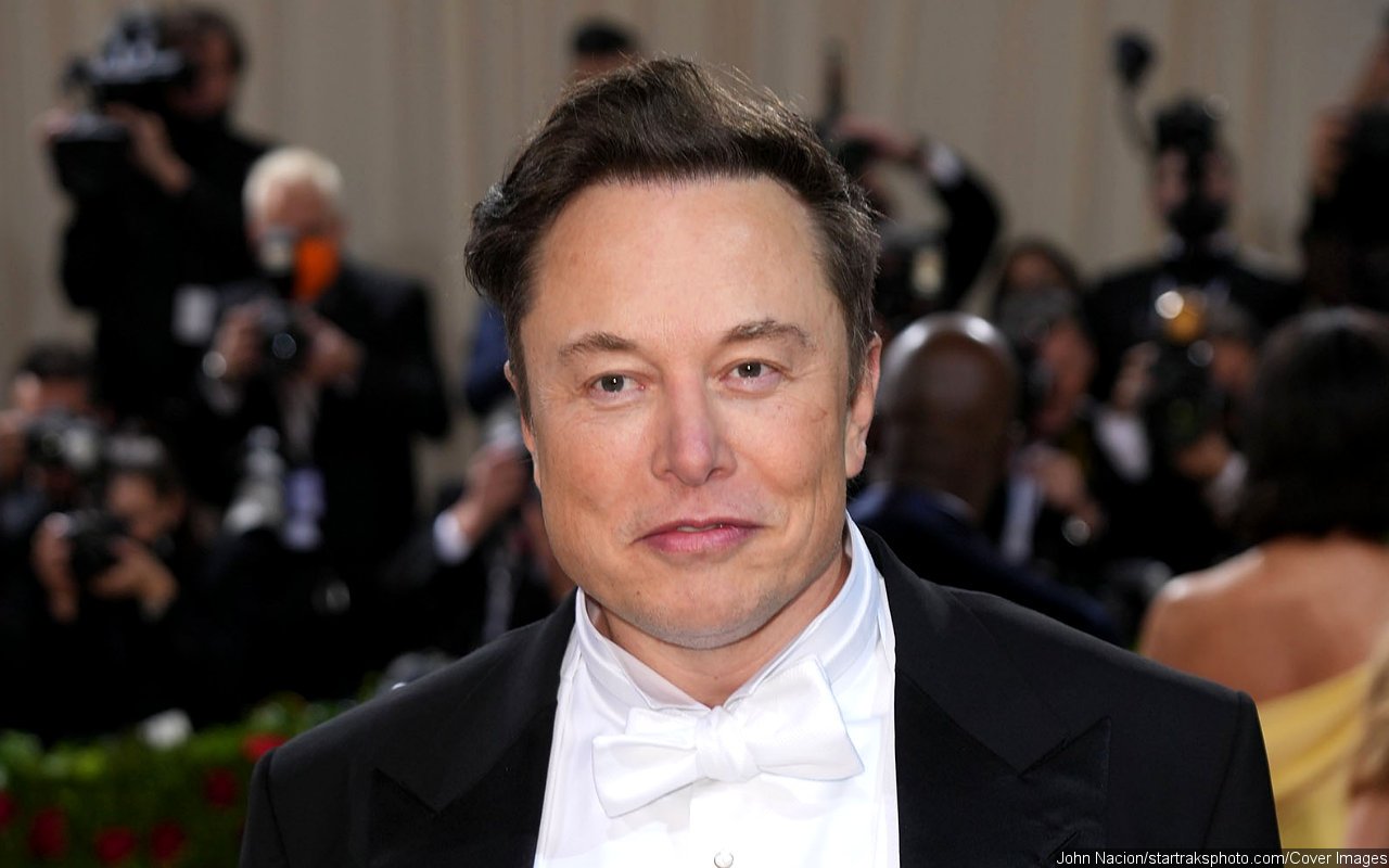 Elon Musk to Hire 'Someone Foolish' to Replace Him as Twitter CEO