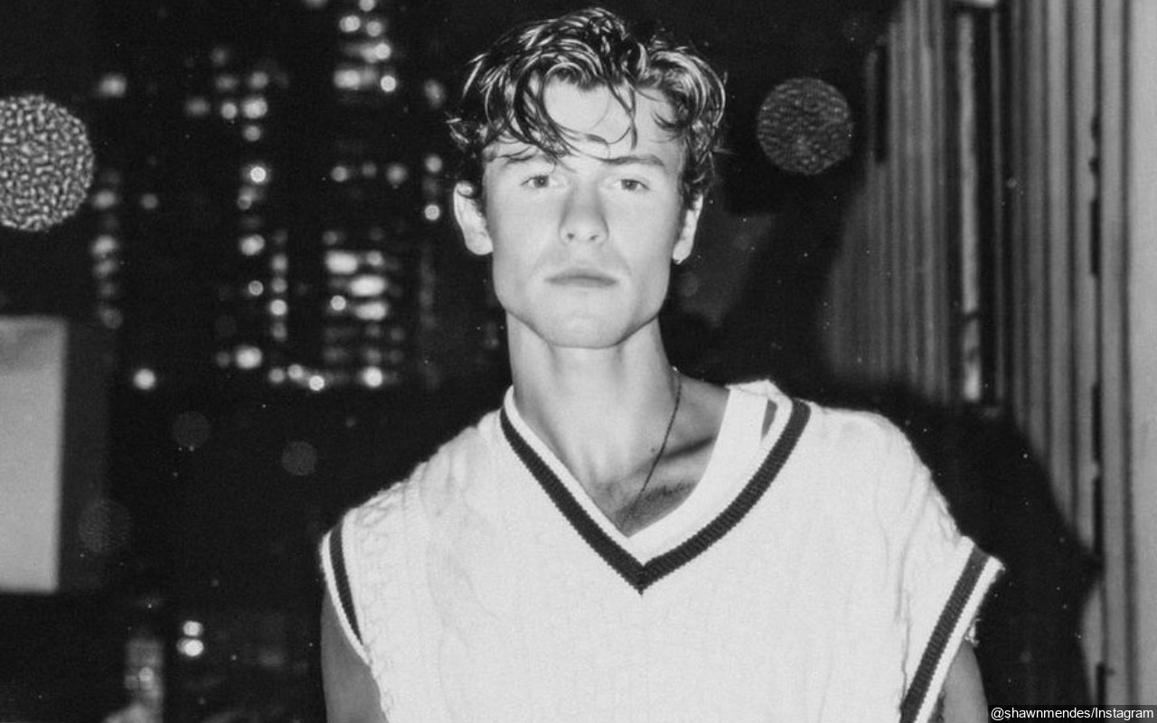 Shawn Mendes Treats Fans to Shirtless Video of Him Swimming in Freezing Water on Christmas