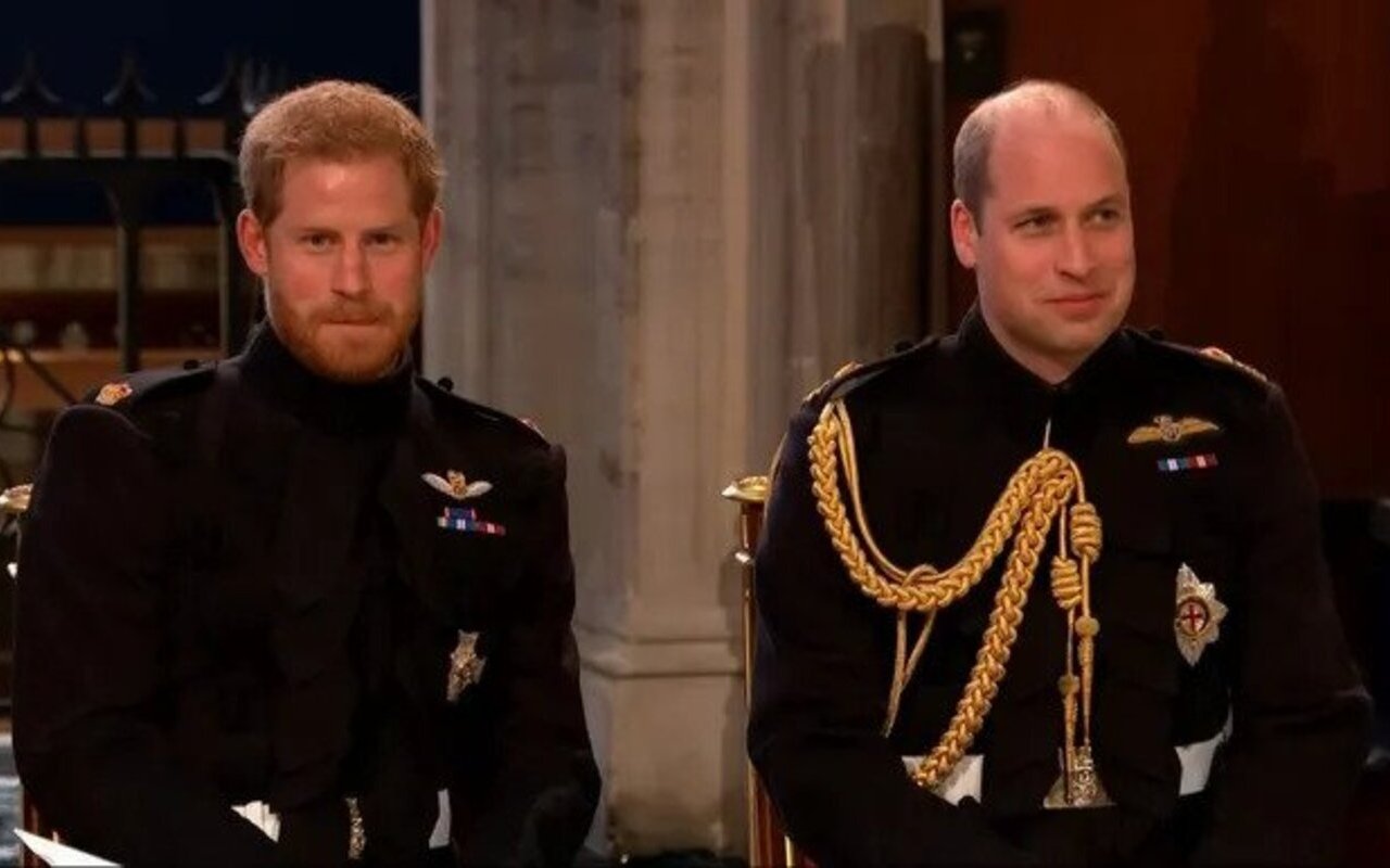 Prince Harry Wishes Prince William Agreed to Go to Therapy