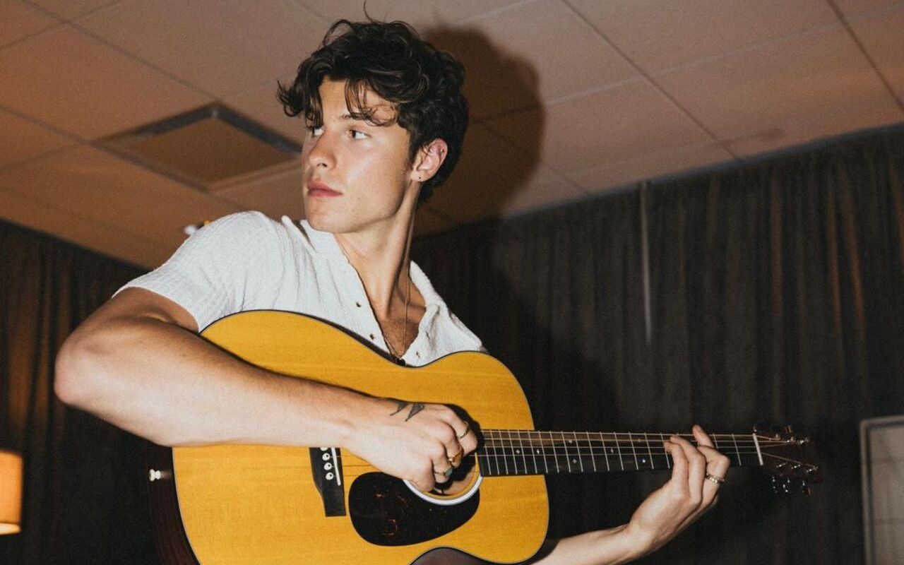 Shawn Mendes Becomes 'Little Bit Obsessive' With Ice Bath