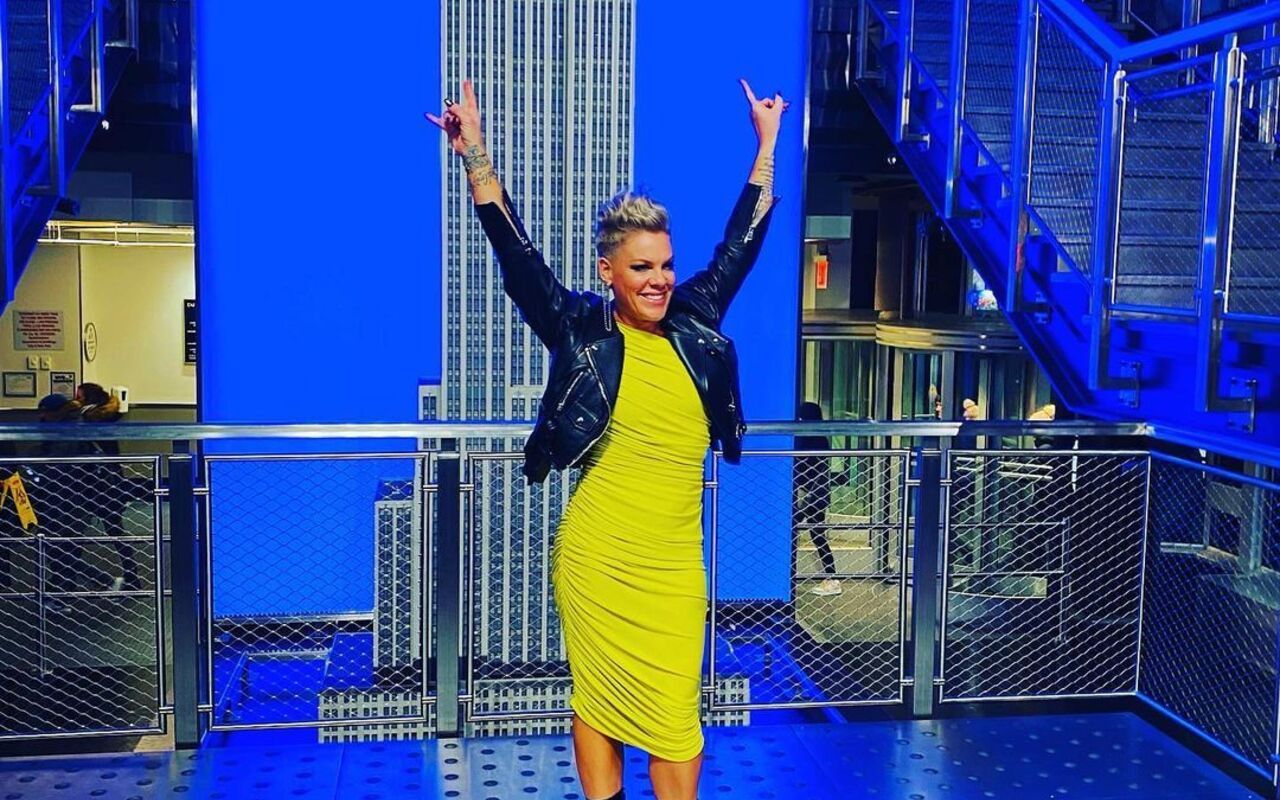 Pink Likens Her Surgery Recovery to Giving Birth 