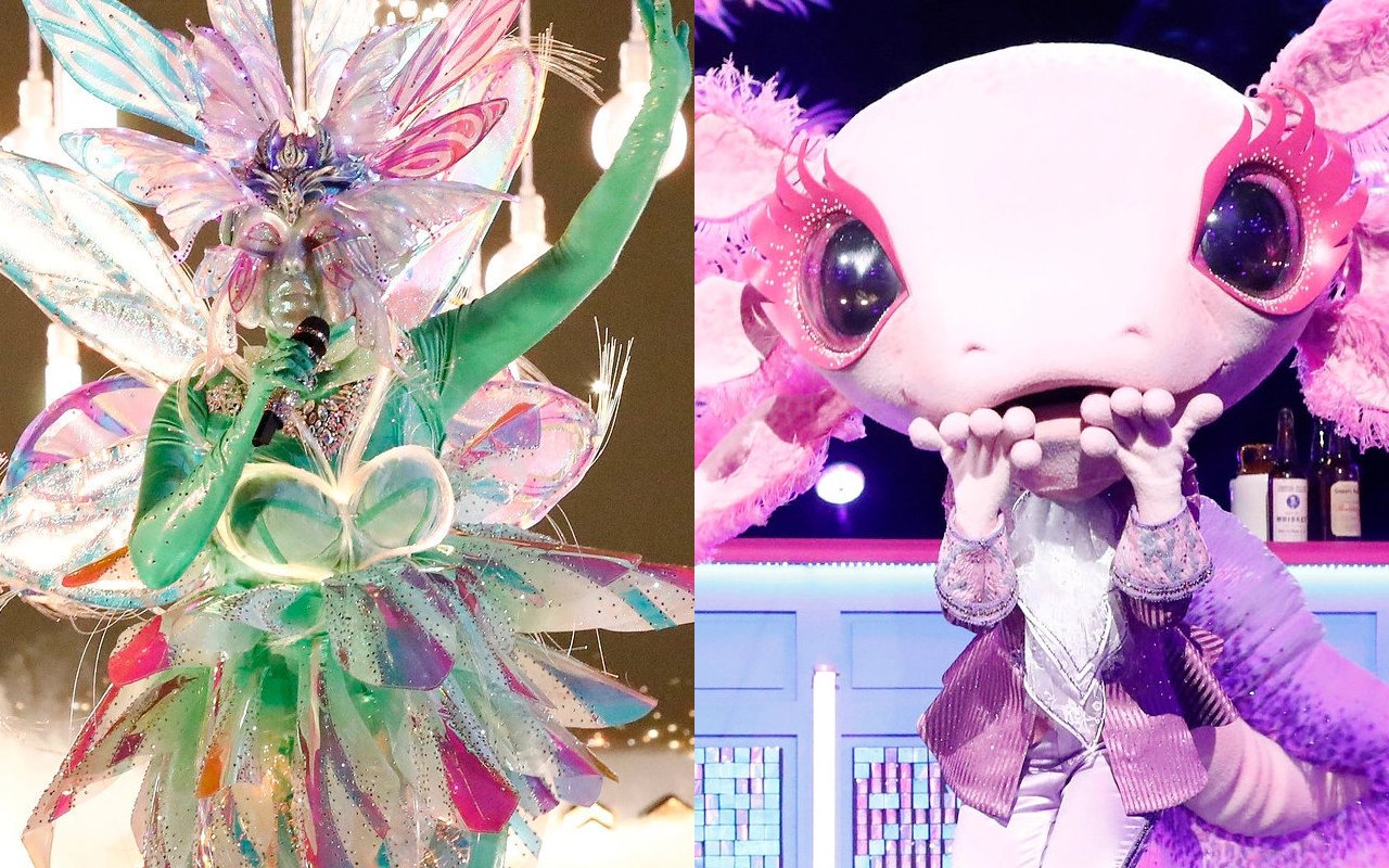 'The Masked Singer' Recap: Find Out Fairy and Axolotl's Real Identities on Country Night 